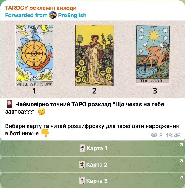 Tarogy посів креатив 1